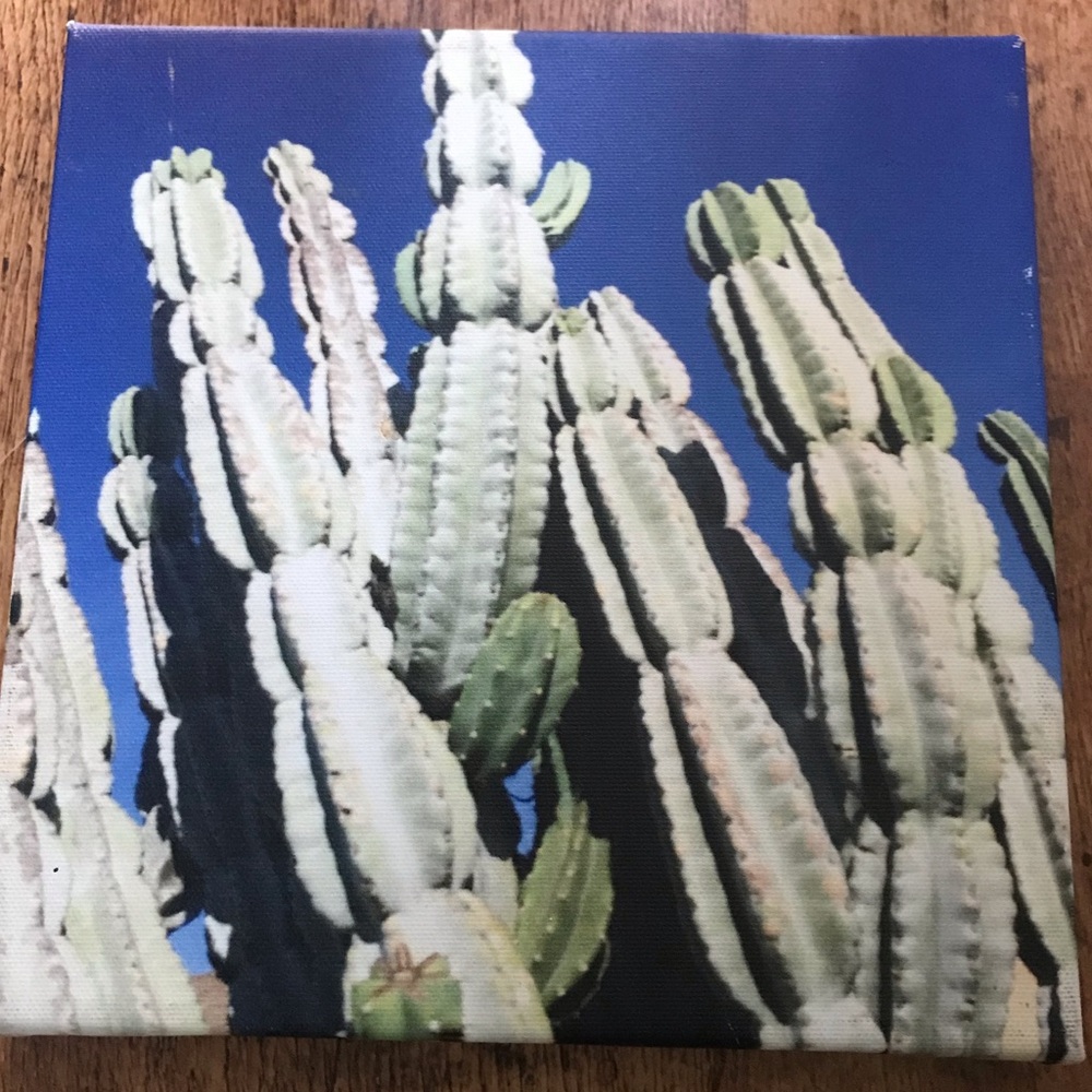 Cactus Print on Canvas with hardware